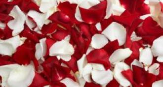 Методы гадания по лепесткам роз Гадать на лепестках розы
